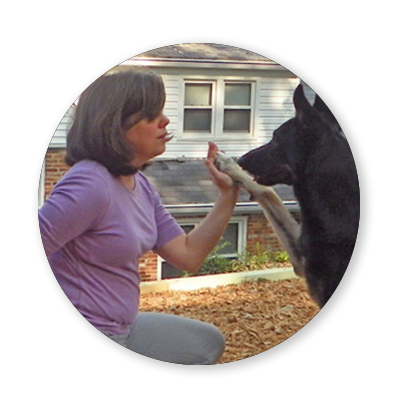 Heidi Meinzer Bio Heidi Meinzer Bio