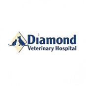 Diamond Vet