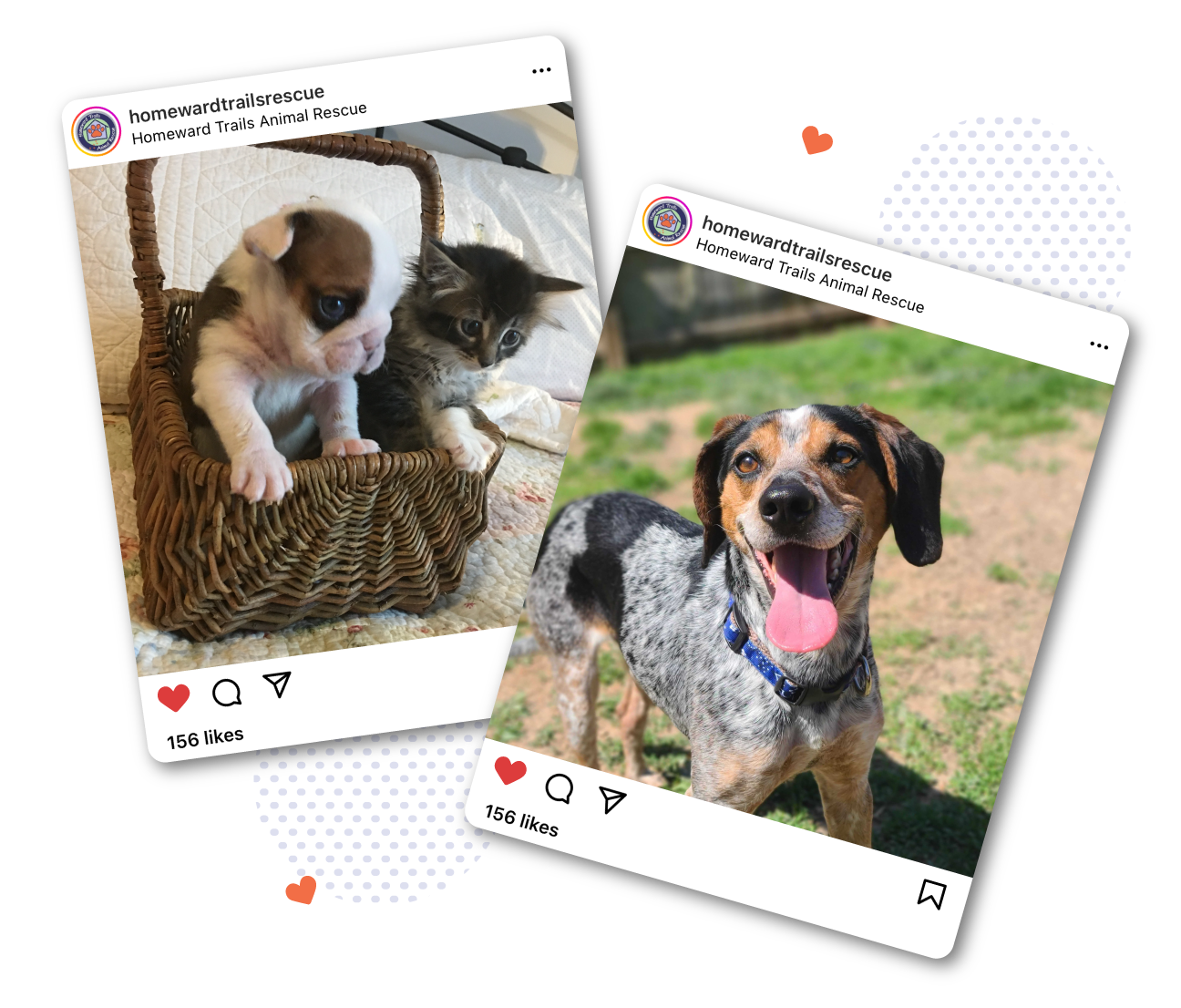 Pet Partner Program Homeward Trails Animal Rescue Pet Adoption in