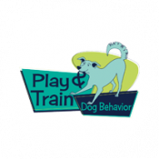 Play & Train