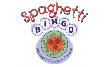 Spaghetti Bingo