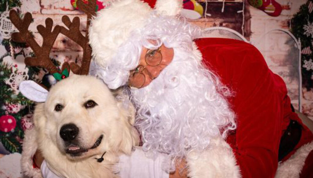 photowithsanta-crop