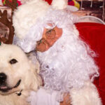 photowithsanta-crop