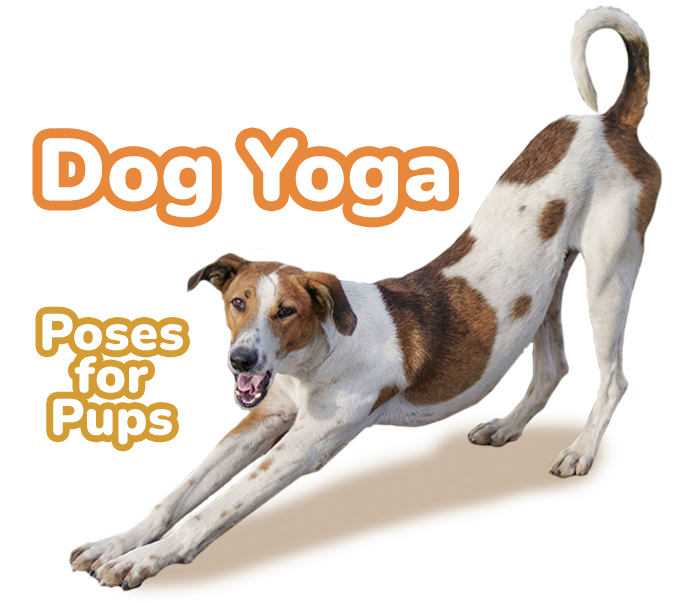 slide-dogyoga